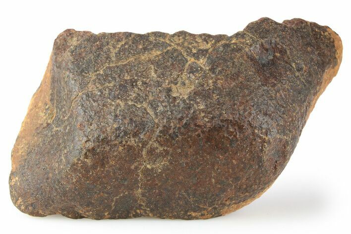 Chondrite Meteorite ( g) - Unclassified NWA #256568